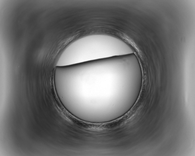 X0000086230537200703290946