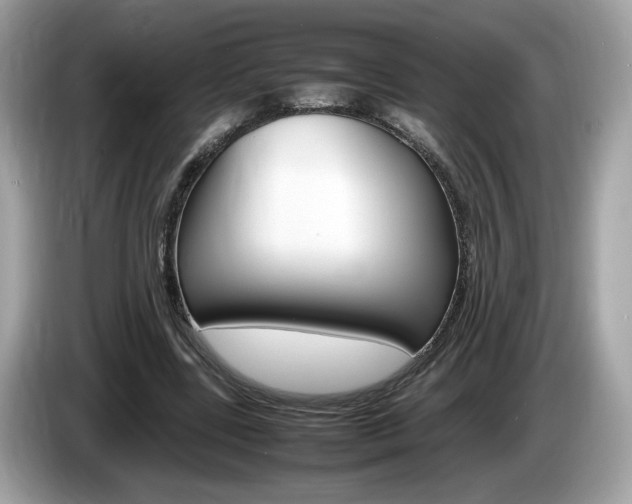 X0000086230539200703290946