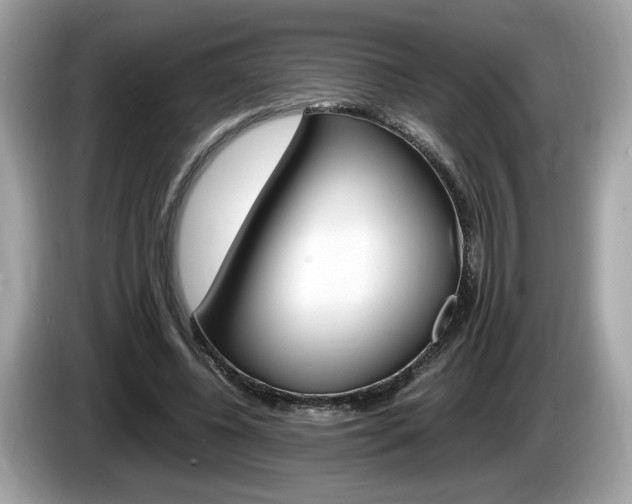 X0000086230540200703290946
