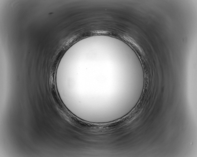 X0000086230541200703290946