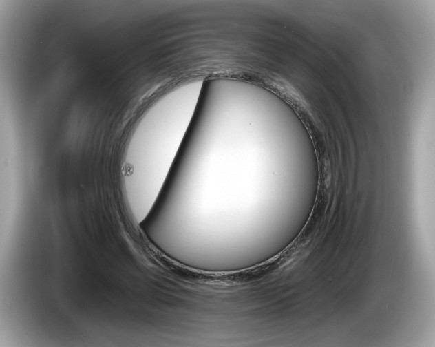 X0000086230542200703290946