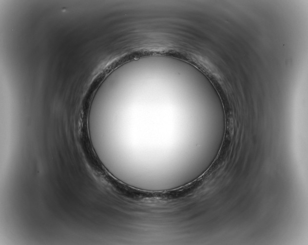 X0000086230544200703290946