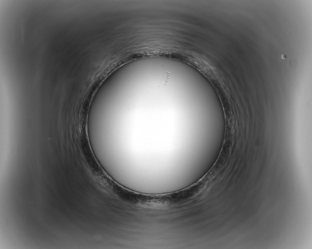X0000086230546200703290946