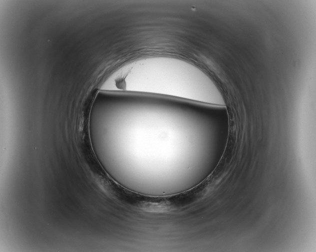 X0000086230548200703290946