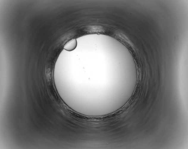 X0000086230549200703290946