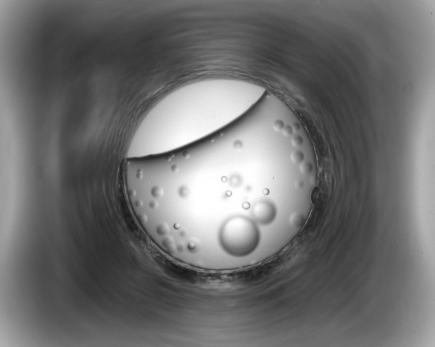 X0000086230550200703290946