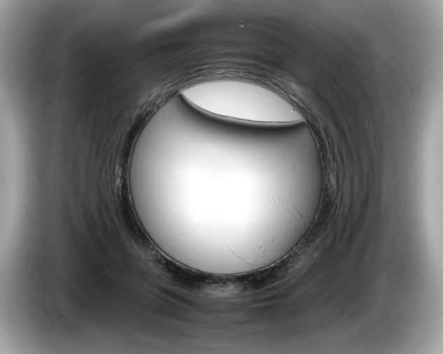 X0000086230551200703290946