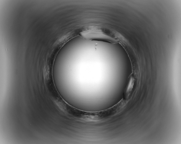X0000086230552200703290946