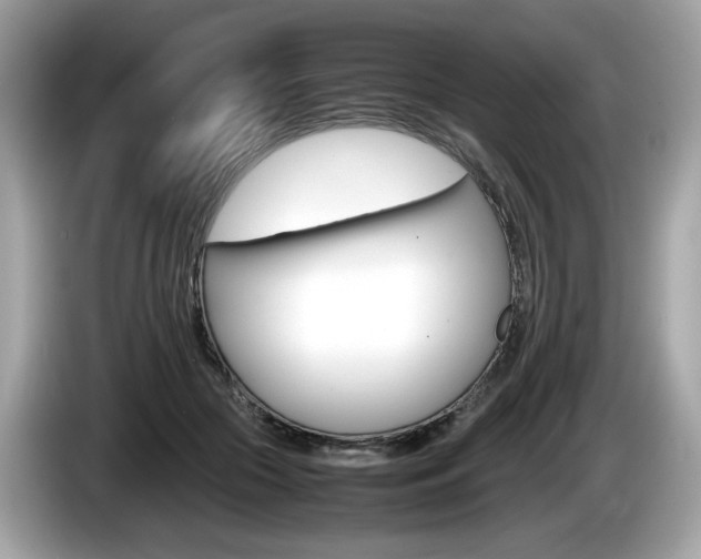 X0000086230553200703290946