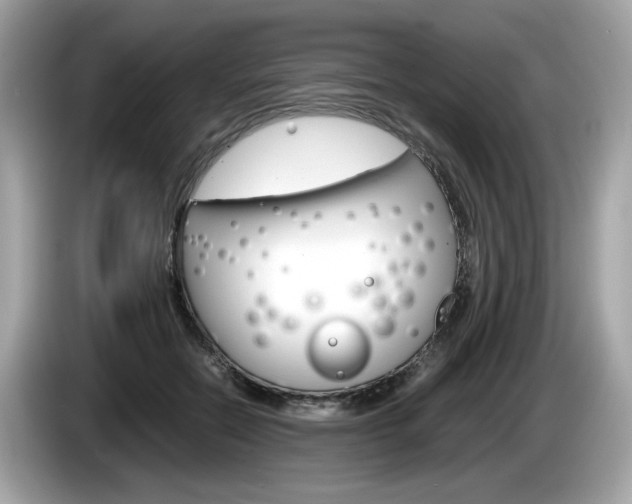 X0000086230554200703290946