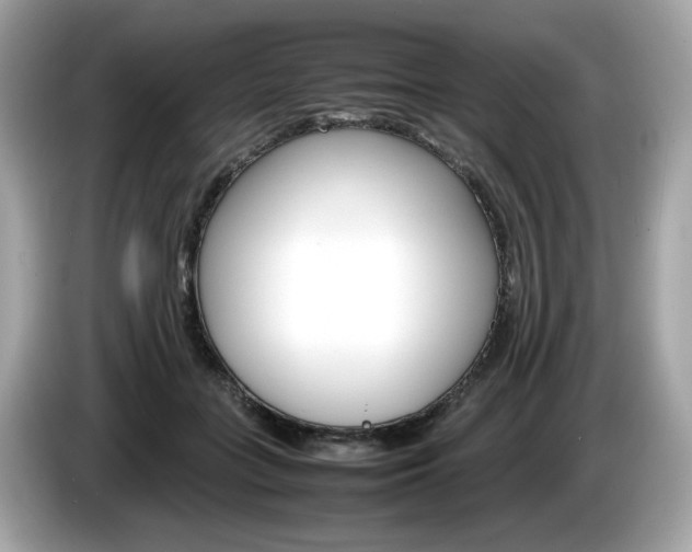 X0000086230555200703290946