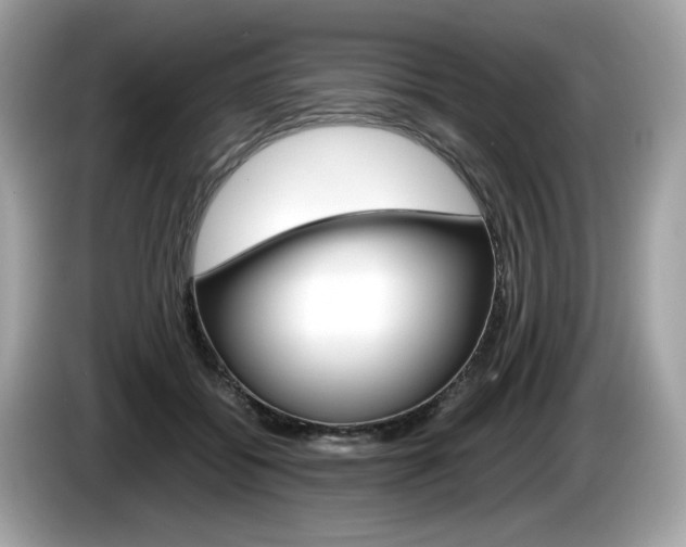 X0000086230556200703290946