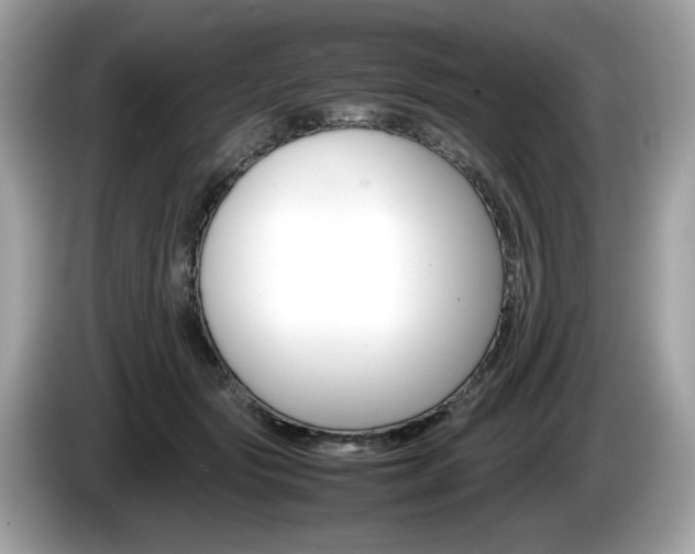 X0000086230557200703290946