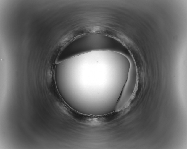 X0000086230558200703290946