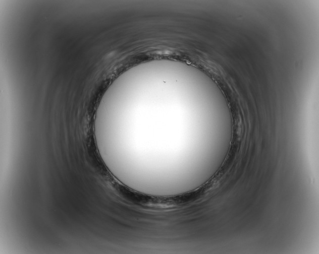 X0000086230559200703290946