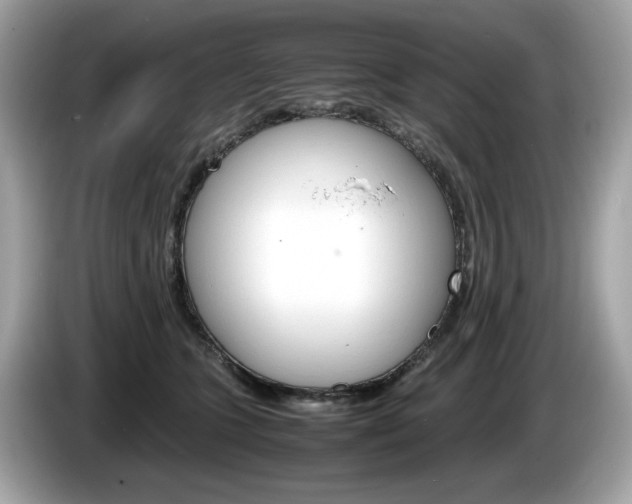 X0000086230563200703290946