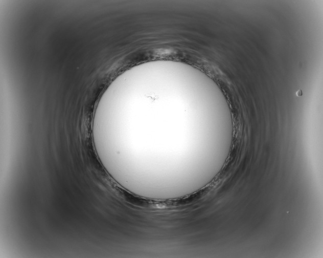 X0000086230565200703290946