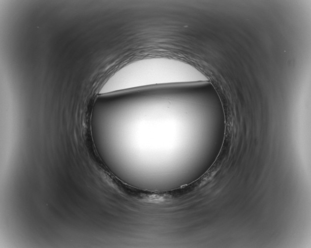 X0000086230566200703290946