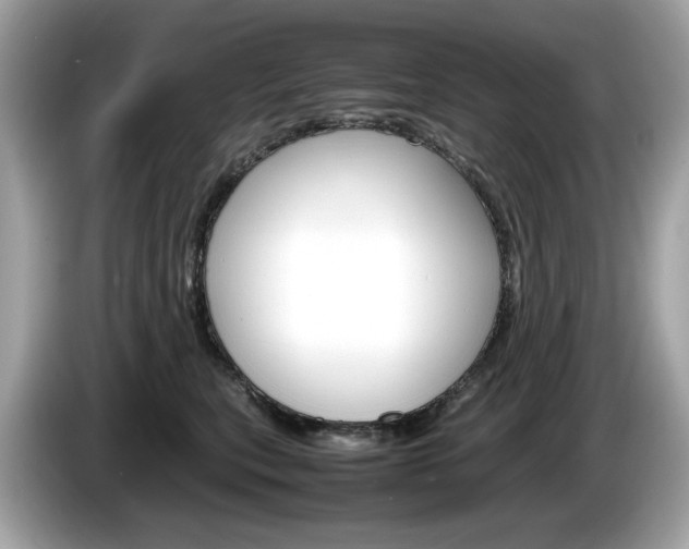 X0000086230567200703290946