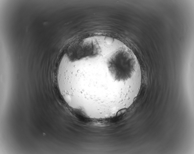 X0000086230569200703290946