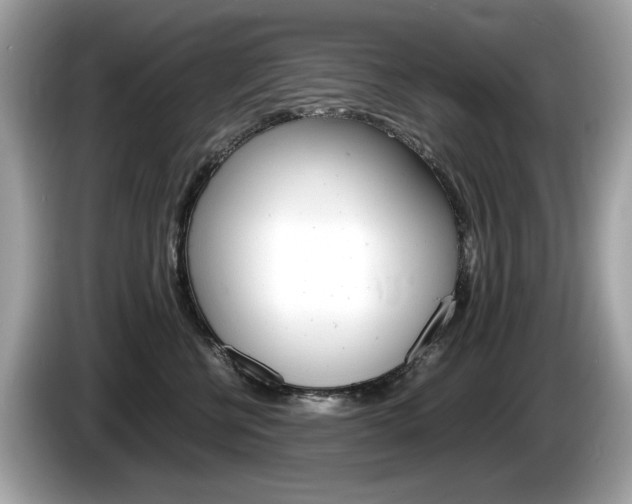 X0000086230570200703290946