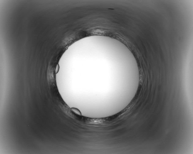 X0000086230573200703290946