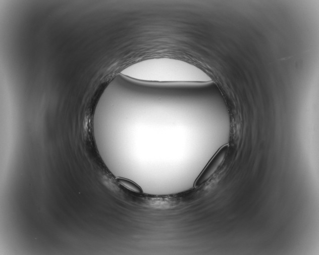 X0000086230574200703290946