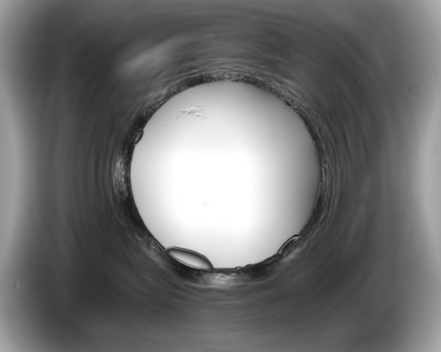 X0000086230575200703290946