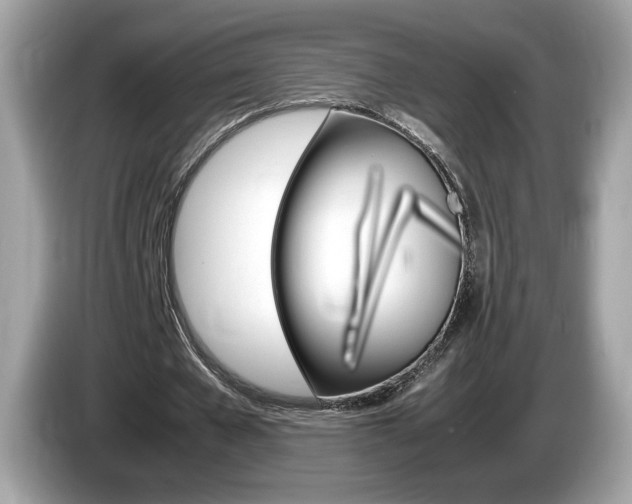 X0000086230577200703290945