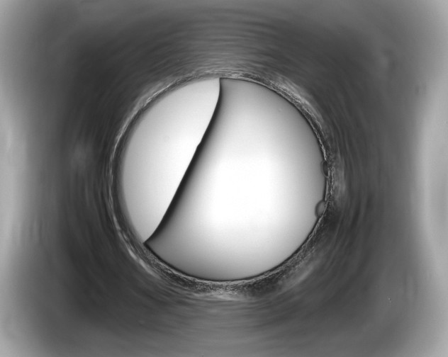 X0000086230578200703290945