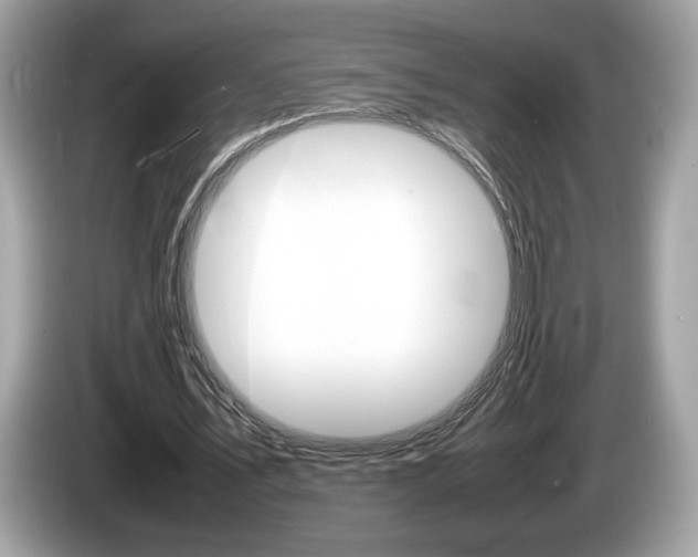 X0000086230579200703290945