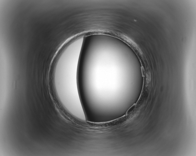 X0000086230580200703290945