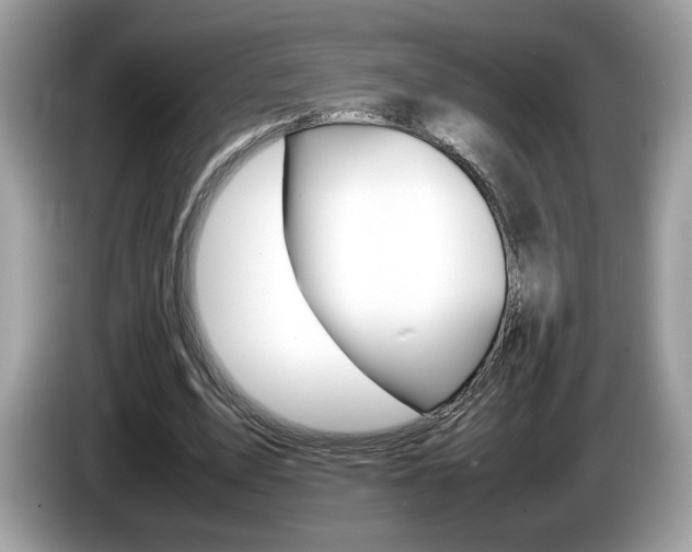 X0000086230583200703290945
