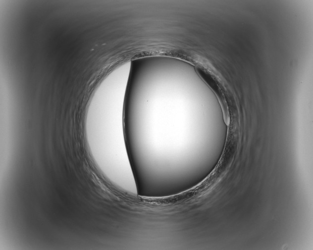 X0000086230585200703290945