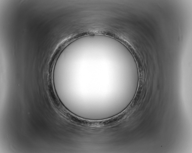 X0000086230587200703290945