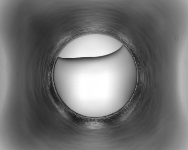 X0000086230590200703290945