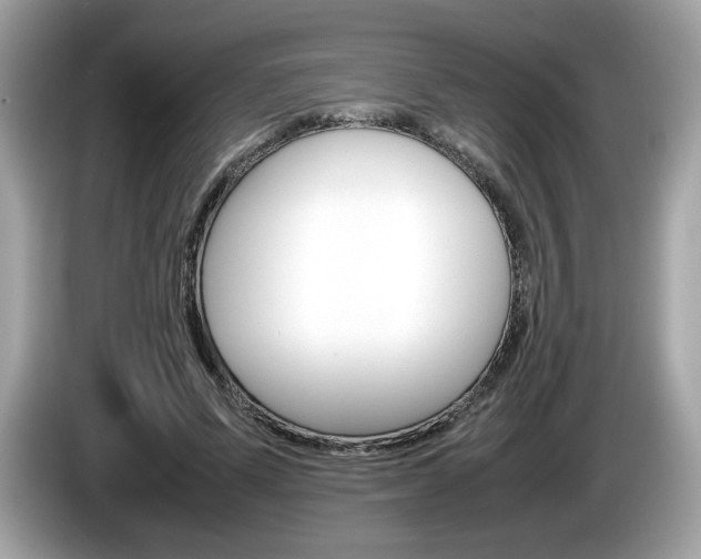 X0000086230591200703290945