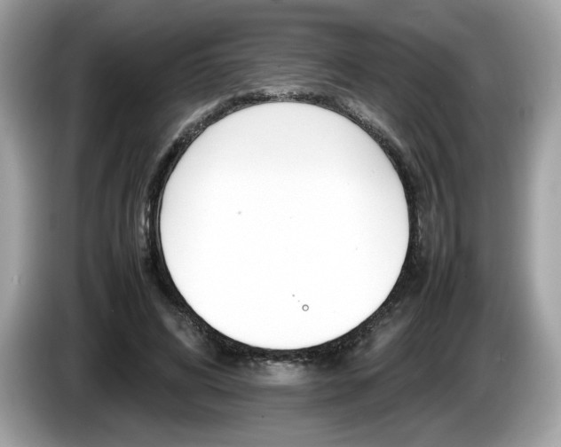 X0000086230592200703290945