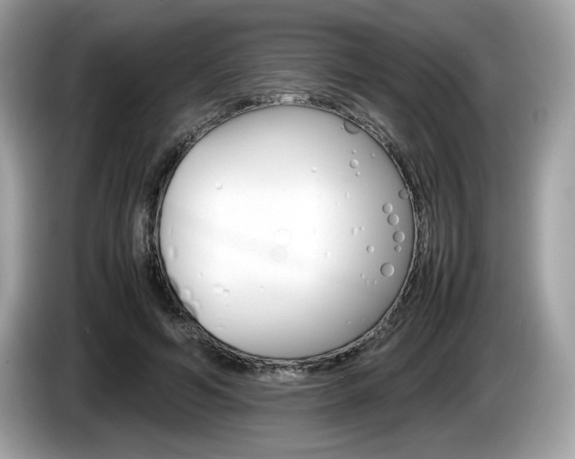 X0000086230594200703290945