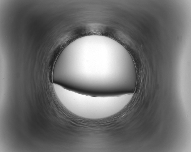 X0000086230595200703290945