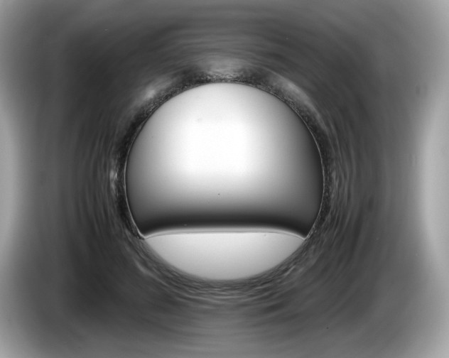 X0000086230596200703290945