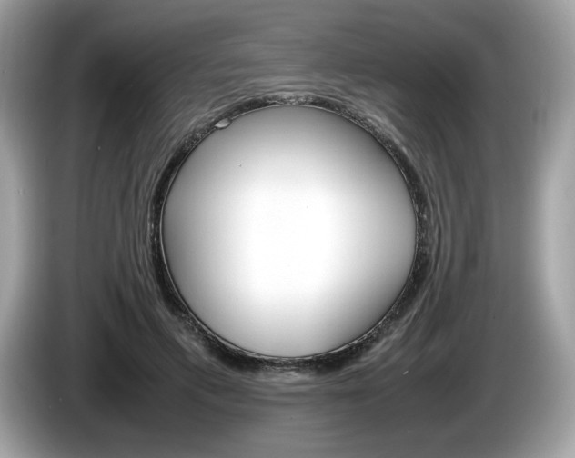 X0000086230597200703290945