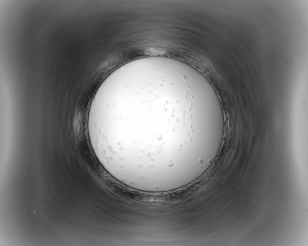 X0000086230598200703290945