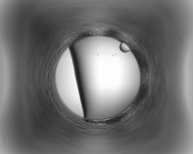 X0000086230599200703290945