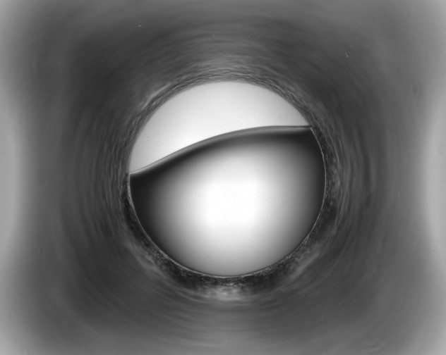 X0000086230600200703290945