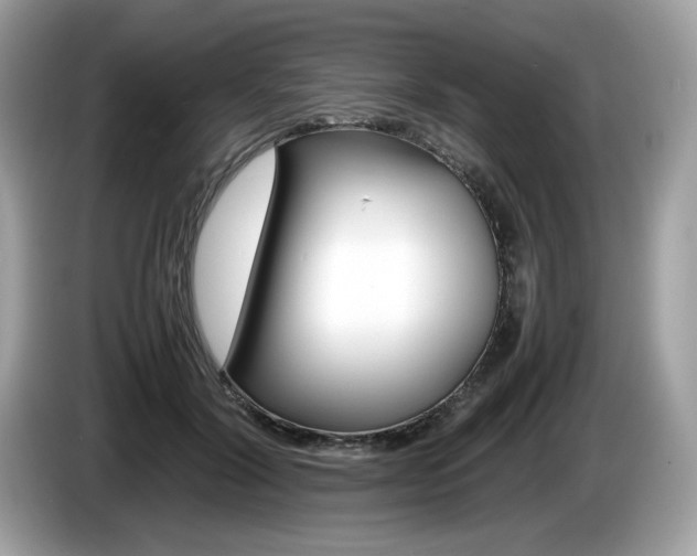 X0000086230604200703290945