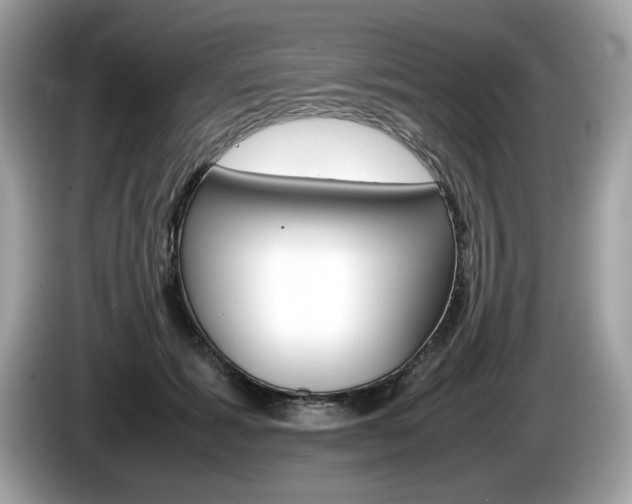 X0000086230605200703290945