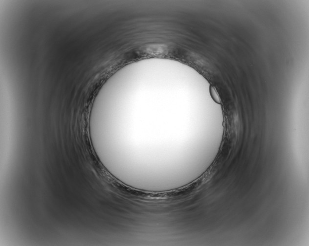 X0000086230606200703290945