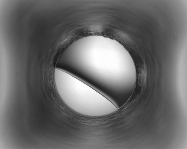 X0000086230608200703290945