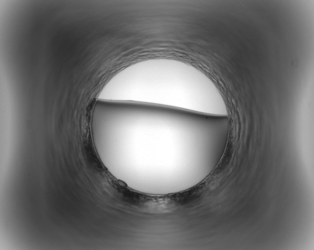 X0000086230609200703290945